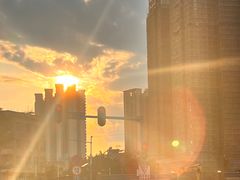 -喜茶(广州番禺奥园广场店)