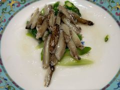 -新光酒家·河豚·海鲜·蟹料理(浦东店)