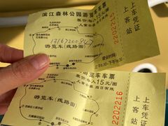 -上海滨江森林公园