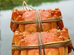 -徐岛主·特色农家乐(阳澄湖莲花岛店)