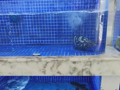 -香山湖渔家大院