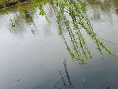 -径山花海