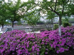 -江南大学(蠡湖校区)
