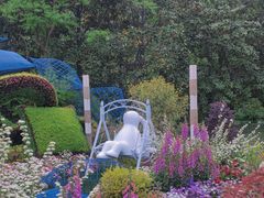 -上海共青森林公园