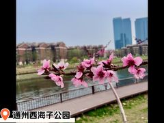 -西海子公园