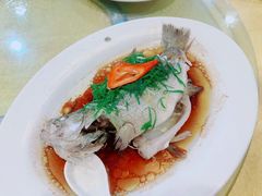 清蒸鲈鱼-汇景花园酒家(基立下道店)