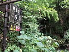 -藏龙百瀑风景区