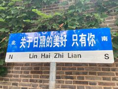-日照海滨国家森林公园