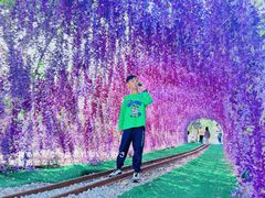 -长洲岛都市农业公园