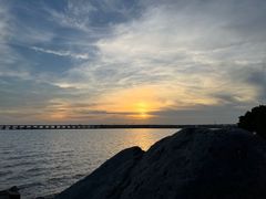 -宝安西湾红树林湿地公园