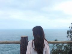 -广东惠东海龟国家级自然保护区