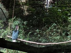 -杭州动物园