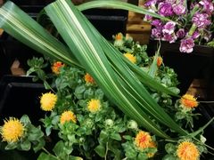 -森野花艺培训·企业团建活动沙龙