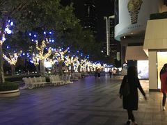 -上海波特曼丽思卡尔顿酒店