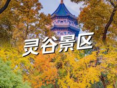 -灵谷景区