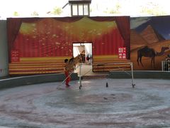 -石家庄市动物园