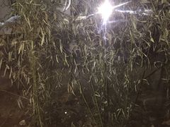 景观位-阿西娅食府(中关村店)