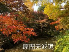 -秋霞圃