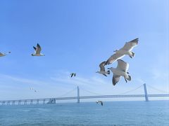 -大连星海广场音乐喷泉