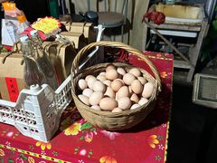 -马陆小张葡萄园农家乐