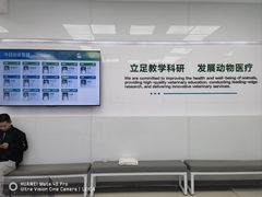 -中国农业大学动物医院