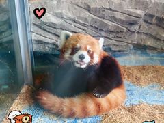 -绿色星球动物主题公园