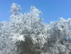 -大秃顶子山