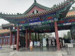 -莲花池公园