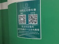 -白玉兰广场停车场