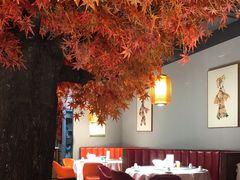 大堂-雲蜀龙阁·金牌水煮鱼(方庄店)