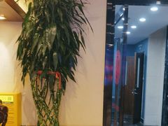 -鸽子窝(青塔店)
