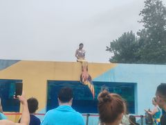 -秦皇岛乐岛海洋王国