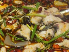 -乡土特色.冷锅鱼.牦牛肉汤锅