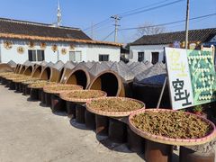 -苏州市吴中区光福窑上花果蜜饯厂