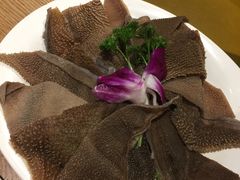 -掂档潮汕牛肉火锅(沈阳万象城店)