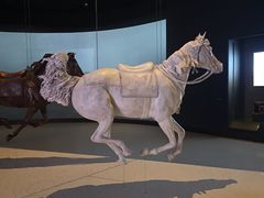 -扎耶德国家博物馆