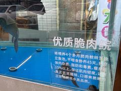 -港升鱼师傅·中山脆肉鲩