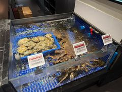 -高佳庄·舟山海鲜(海景旗舰店)