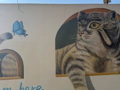 -青藏高原野生动物园