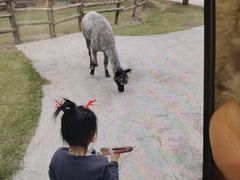 -祥源·阜阳生态乐园