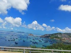 -枸杞岛