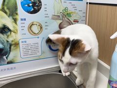 -瑞派中心宠物医院·CT·核磁·神经专科