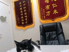-德元·美联众合24小时动物医院(总院)