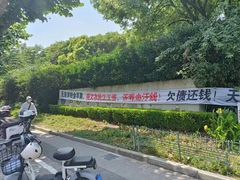 -上海市民办金苹果学校