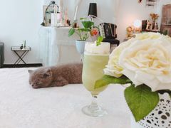 生活总得有点绿-MZ猫咖