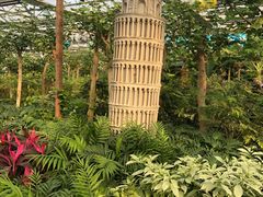 -南宫五洲植物乐园