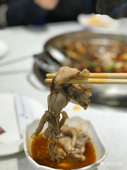 五桦一把捞美蛙鱼头火锅活美蛙图片 - 第17张