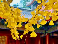 -承恩寺
