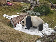 -无锡动物园·太湖欢乐园