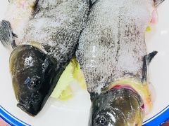 -大理.老字号渝记酸萝卜乌鱼(古城总店)